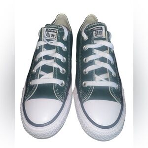 ❇️NWT❇️Converse All Star CTAS Dragon Scale Ox